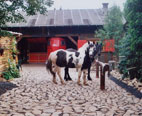 Bild mit Hofeinfahrt und Pferden